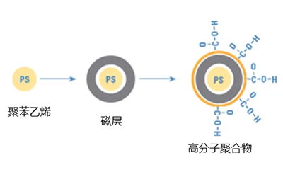 揭秘！羧基磁珠应用及使用方案