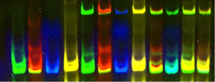 Biacore_pic001