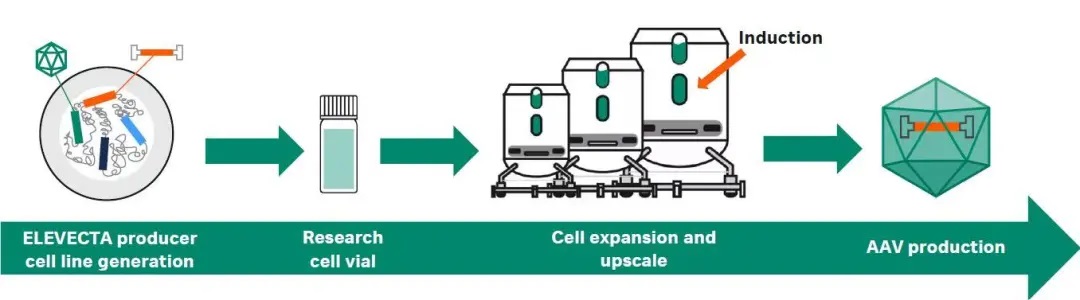 cell-gene-therapy_13