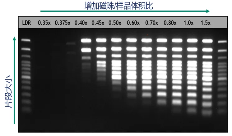 diagnosis_pic004